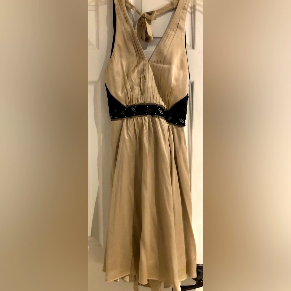 Stunning silk dress by BCBG